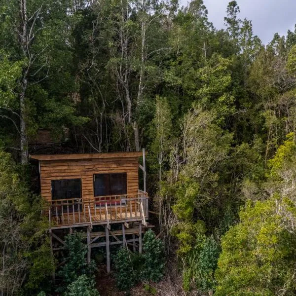 Refugio de montaña con vista al mar，位于Curiñanco的酒店