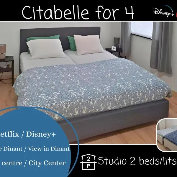 Ô Reflets - Citabelle for 4 - Studio 2 rooms view "Citadelle"，位于迪南的酒店