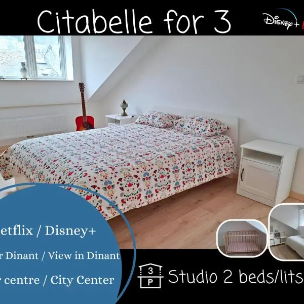 Ô Reflets - Citabelle for 3 - Studio 2 beds view "Citadelle"，位于迪南的酒店