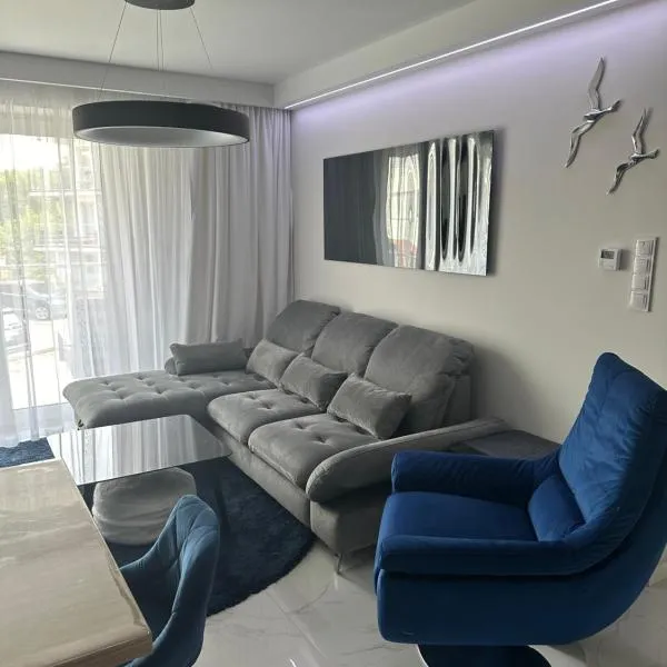 Apartament Srebrna Mewa，位于里沃的酒店