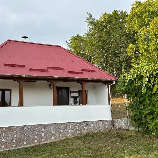La Căsuță Rudeni，位于Rudeni的酒店