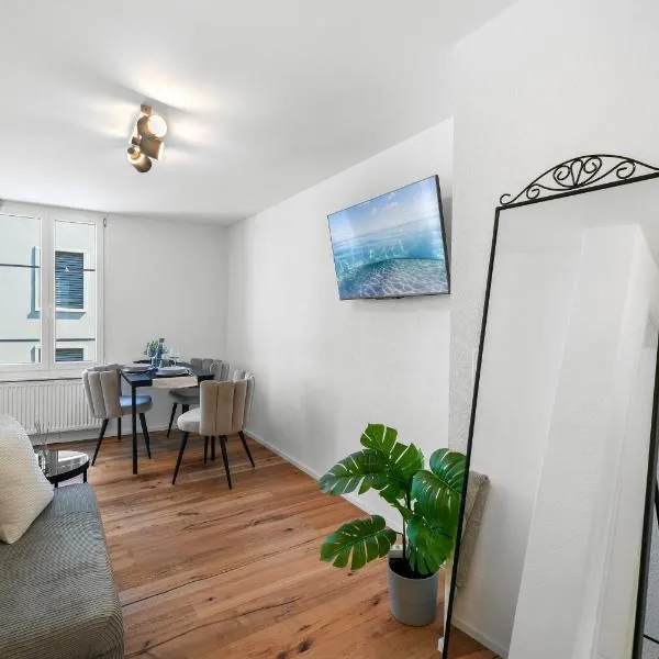 book2stay modernes Apartment OLMA-Areal，位于圣加仑的酒店