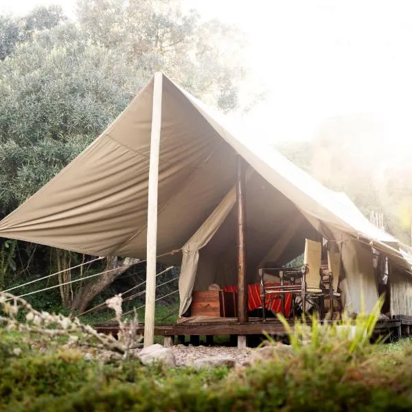 Quatermain's 1920's Safari Camp – Amakhala Game Reserve，位于Alicedale的酒店