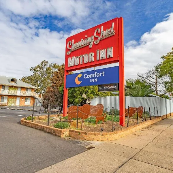 Comfort Inn Shearing Shed，位于达博的酒店