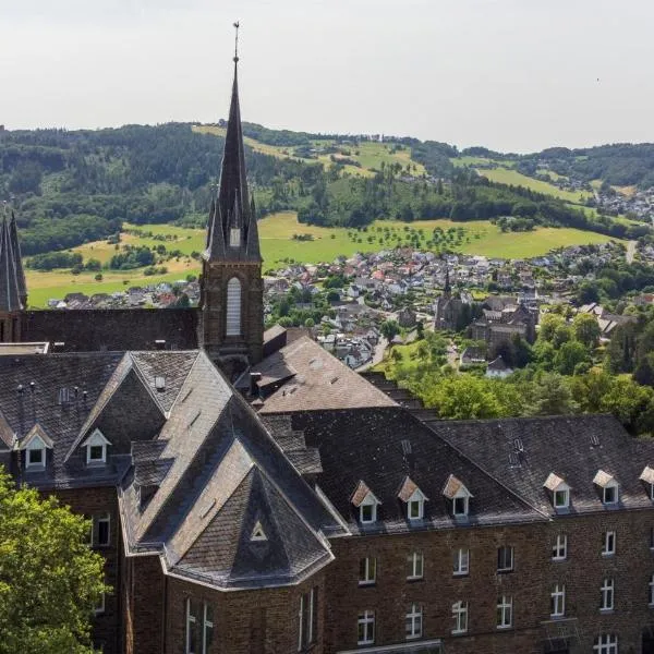 Rosa Flesch Hotel und Tagungszentrum，位于Waldbreitbach的酒店