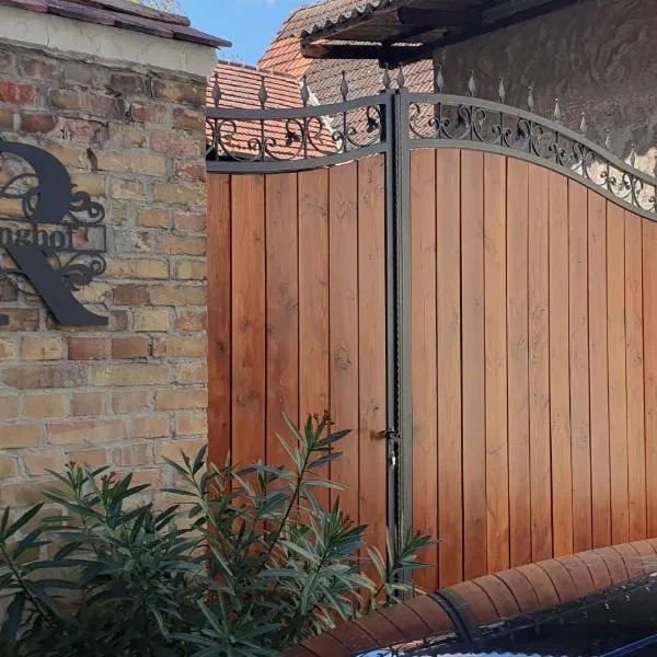 Gästehaus Ringhof，位于Flörsheim-Dalsheim的酒店