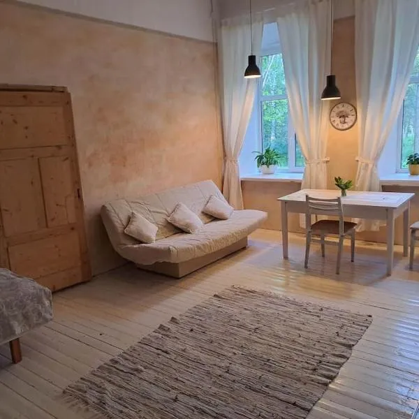 Roosiku Apartment，位于Roosiku的酒店