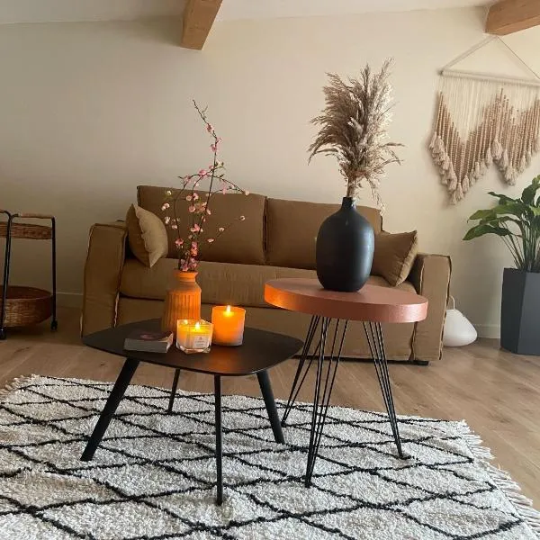 Studio Cosy，位于Castanet-Tolosan的酒店