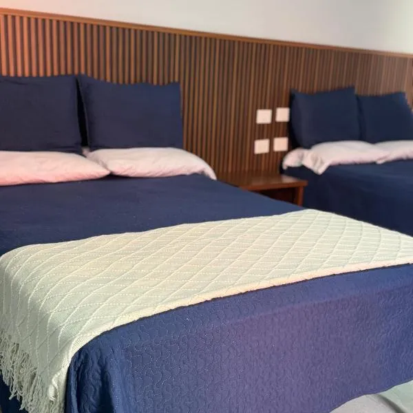 Hotel Santa María Inn，位于圣胡安－德洛斯拉戈斯的酒店