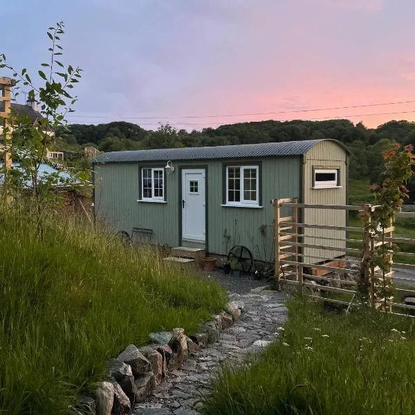 Ardmore Shepherd's Hut，位于洛欣弗的酒店