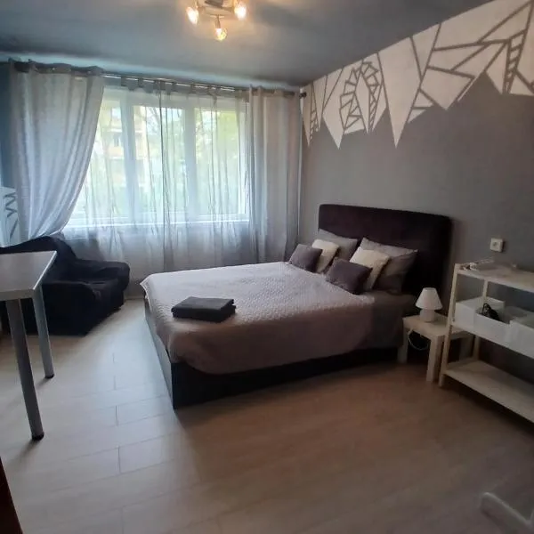 Spacious ground floor apartment Aurora，位于Kupiškis的酒店