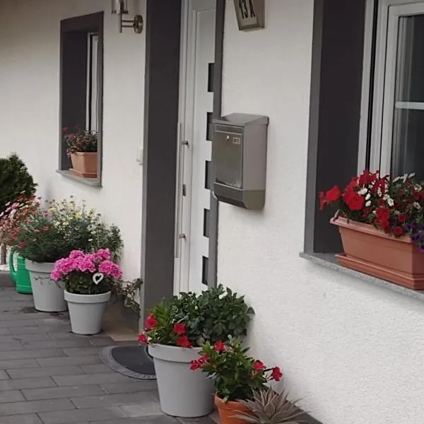 Ferienwohnung Blumenparadies，位于Hallschlag的酒店