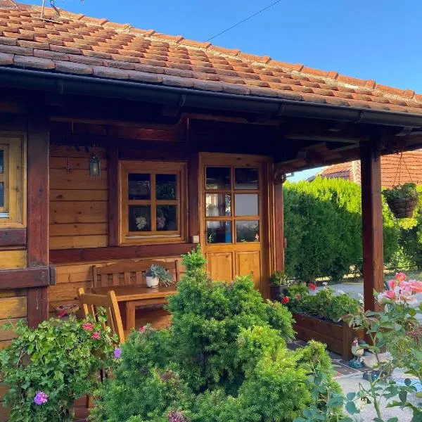 Flowers Cabin，位于瓦列沃的酒店