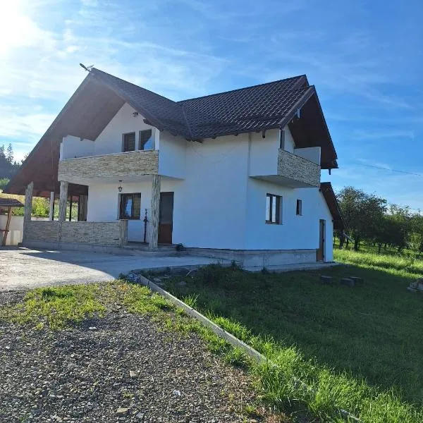 Cabana iris- dotata cu ciubar si sauna，位于阿加皮亚的酒店