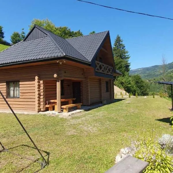 Котедж Гук，位于拉希夫的酒店