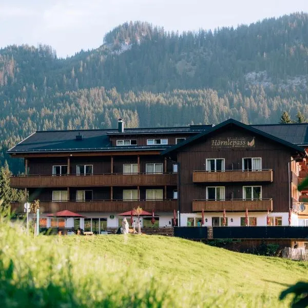 Alpengasthof Hörnlepass，位于米特尔贝格的酒店