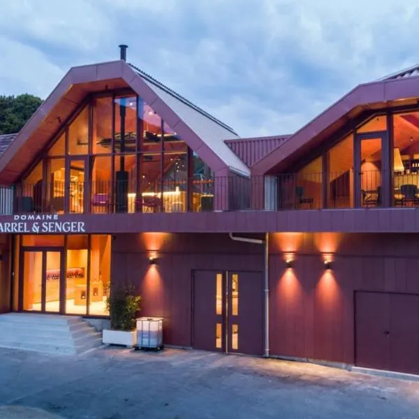 Domaine Carrel & Senger，位于Jongieux的酒店