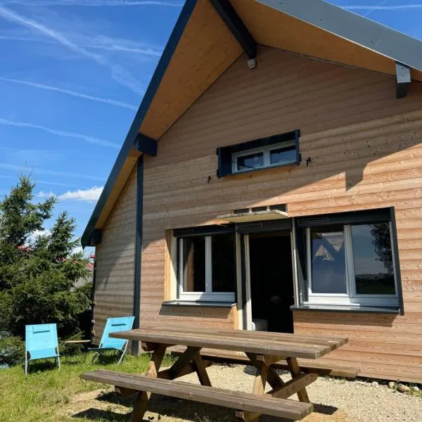 Chalet Pagotin - Le Renversant，位于梅塔比耶的酒店