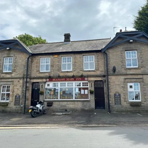 the beamish mary inn，位于Witton Gilbert的酒店