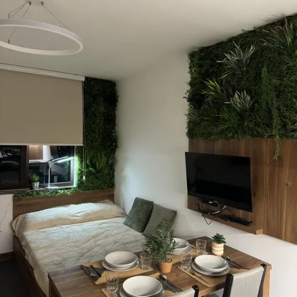 La familia Kopaonik，位于布尔泽策的酒店