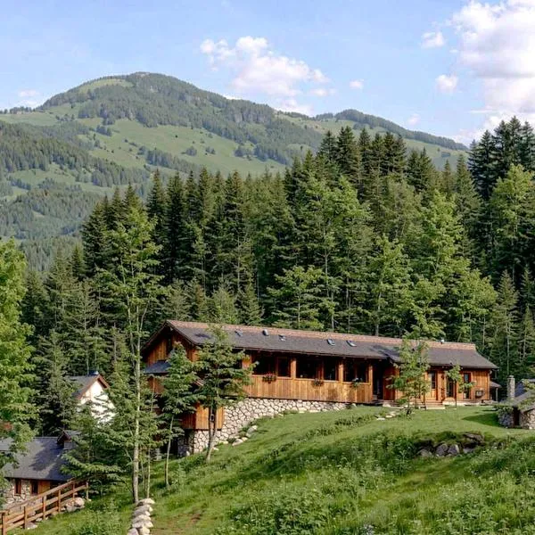 Cabana Taul Brazilor，位于Roşia Montană的酒店
