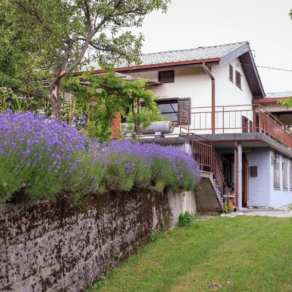 Podgozd Holiday House，位于Trnovo的酒店