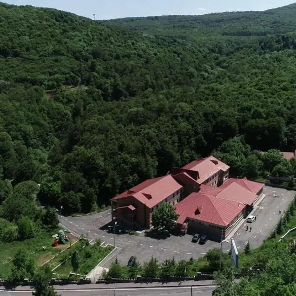 塔斯威特酒店，位于萨克德佐尔镇的酒店