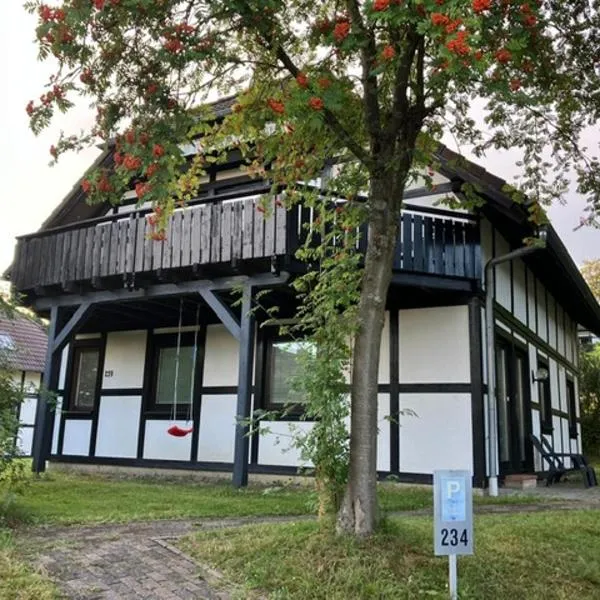 House of Rootz，位于弗兰克瑙的酒店