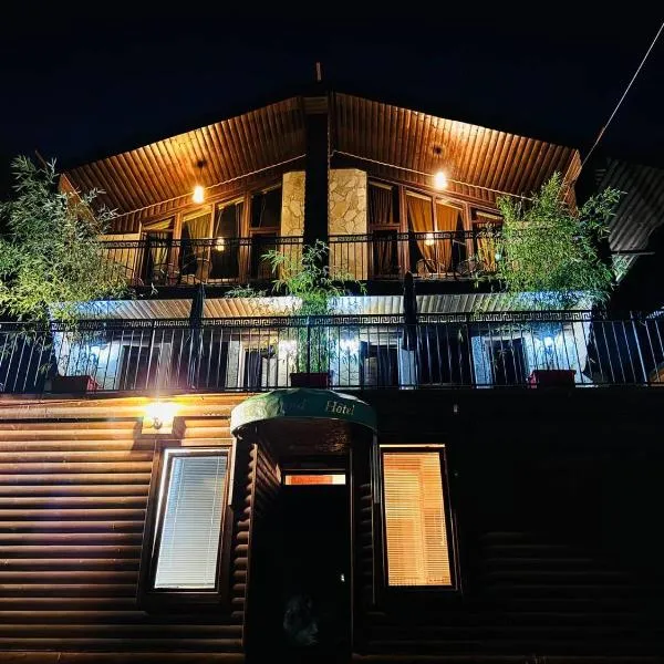 The Grand Hotel Bakuriani，位于巴库里阿尼的酒店