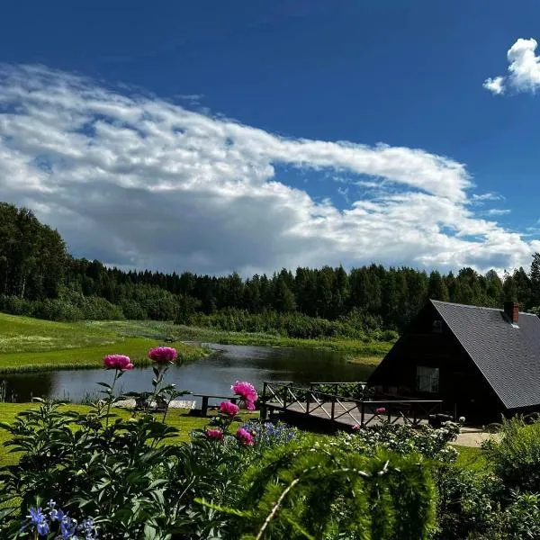 Viesu māja Urbiņi，位于Taurene的酒店