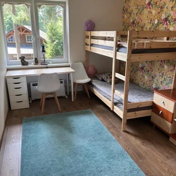 Apartment 4 Palūšė，位于帕卢舍的酒店