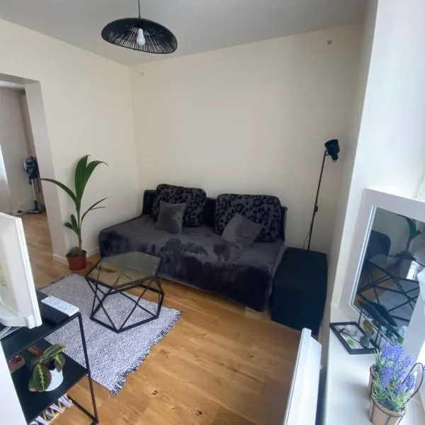 Appartement confortable Stade de France，位于圣但尼的酒店