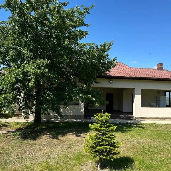 Căsuța de la țară，位于Bradu的酒店