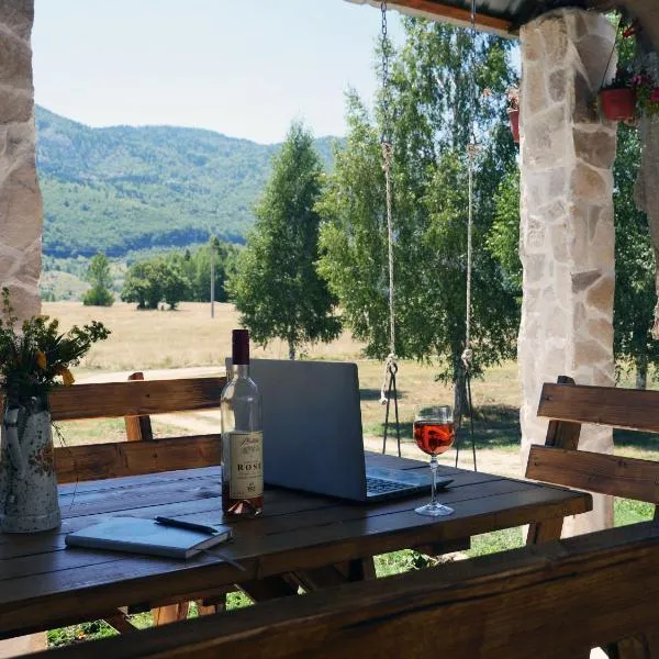Canyon Chalet Brezna，位于普卢日内的酒店