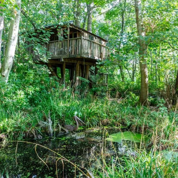 The Treehouse at Castle Cottage，位于普尔伯勒的酒店