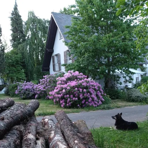 Privatzimmer im Landhaus mit großem Garten und Parkplatz，位于Reckershausen的酒店