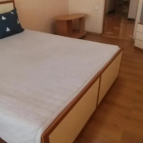 Apartments for rent，位于Staraya Nekrasovka的酒店