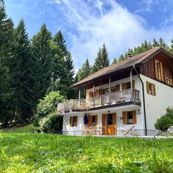 Chalet Harmony Rogla - apartment，位于兹雷切的酒店