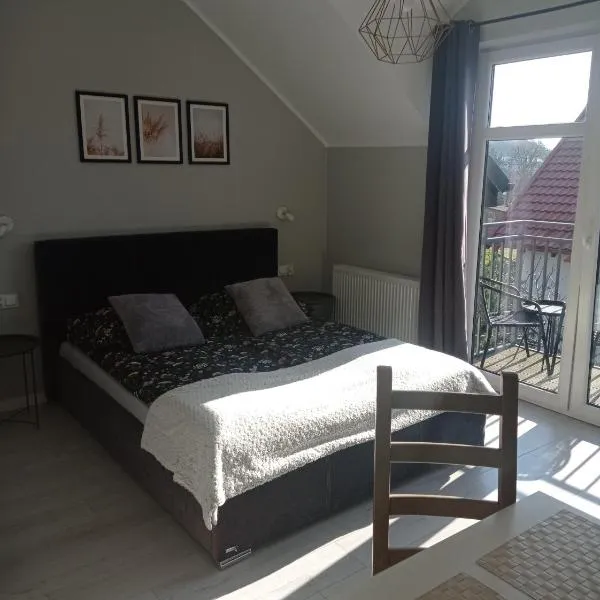 WILLA AMBER，位于奥斯特罗沃的酒店