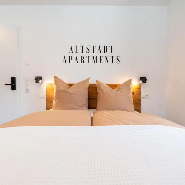 Altstadt Apartments，位于Wörth am Main的酒店