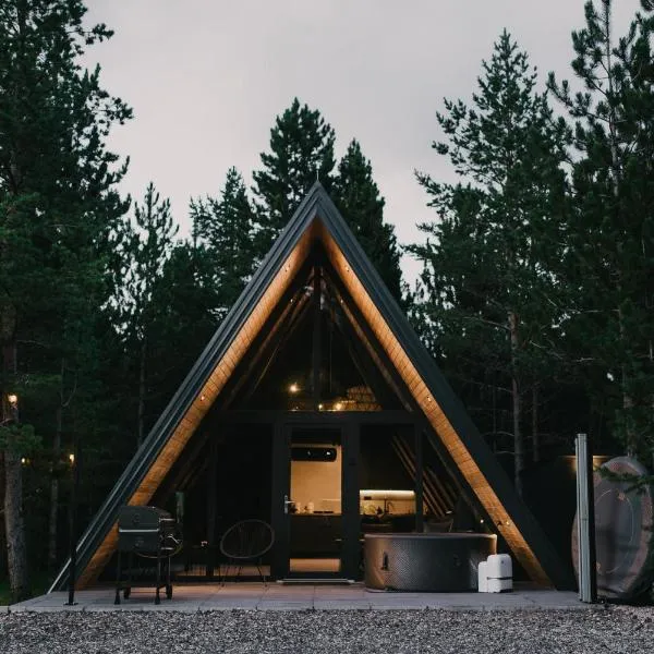 Pinery Blidinje A-Frame House，位于Blidinje的酒店