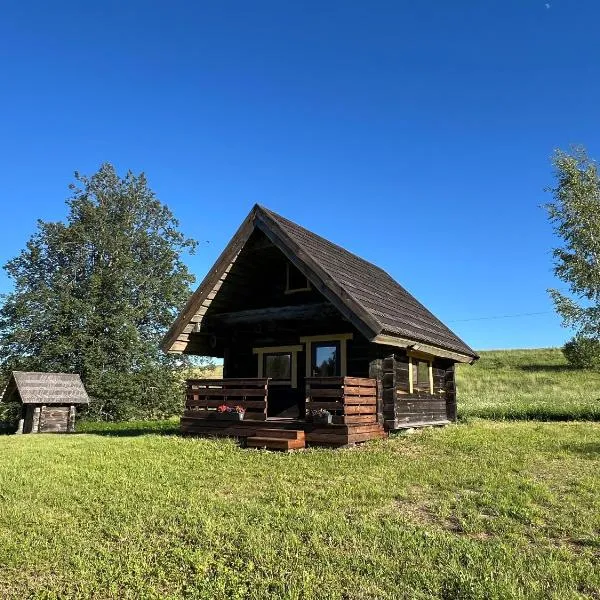 Lakeside cabin with saunas, hot-tub options，位于Antsla的酒店