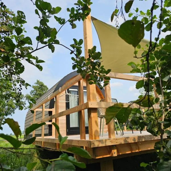 Tiny House De Skierroek，位于韦斯特吉斯特的酒店