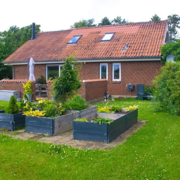 Dejligt og stort hus，位于Roslev的酒店