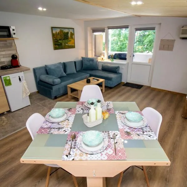 Swan7 Studios，位于普罗夫迪夫的酒店