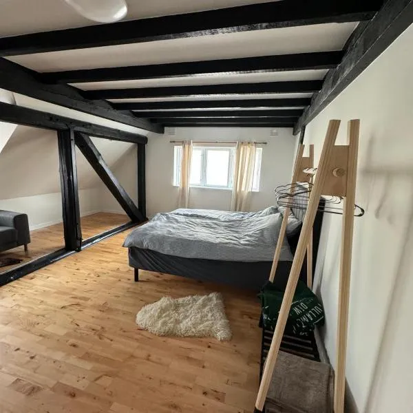 Hyggelig lejlighed nær Espergærde strand，位于Espergærde的酒店