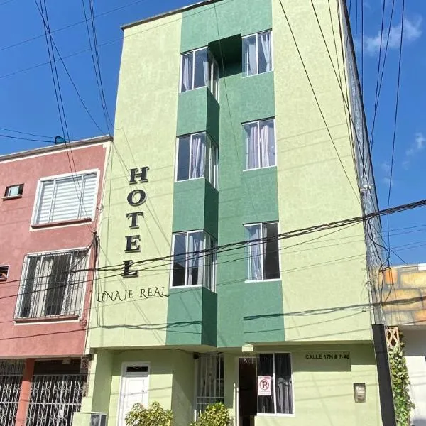 Hotel Linaje Popayán，位于Santa Rita的酒店