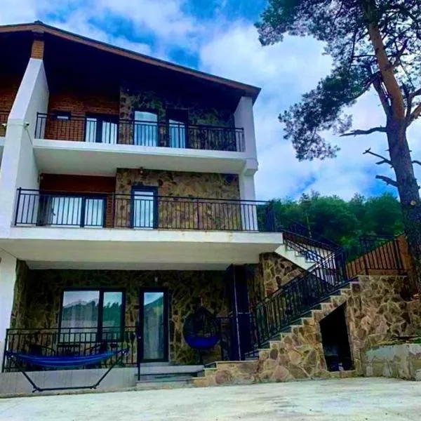Cottage V1，位于巴库里阿尼的酒店