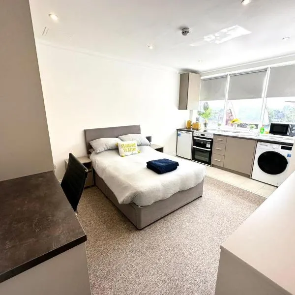 Sunny Modern, Private Apartment,15 Mins To Central London，位于亨顿的酒店