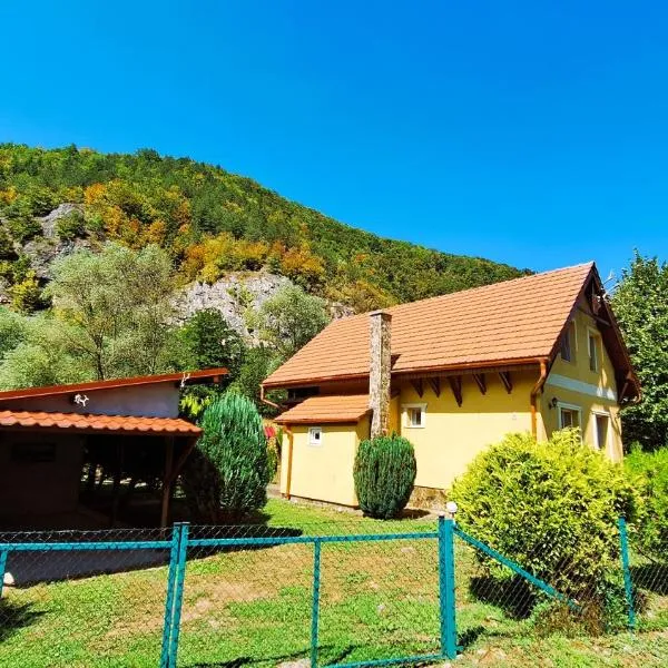 Casa de vacanta Bulz，位于Bulz的酒店